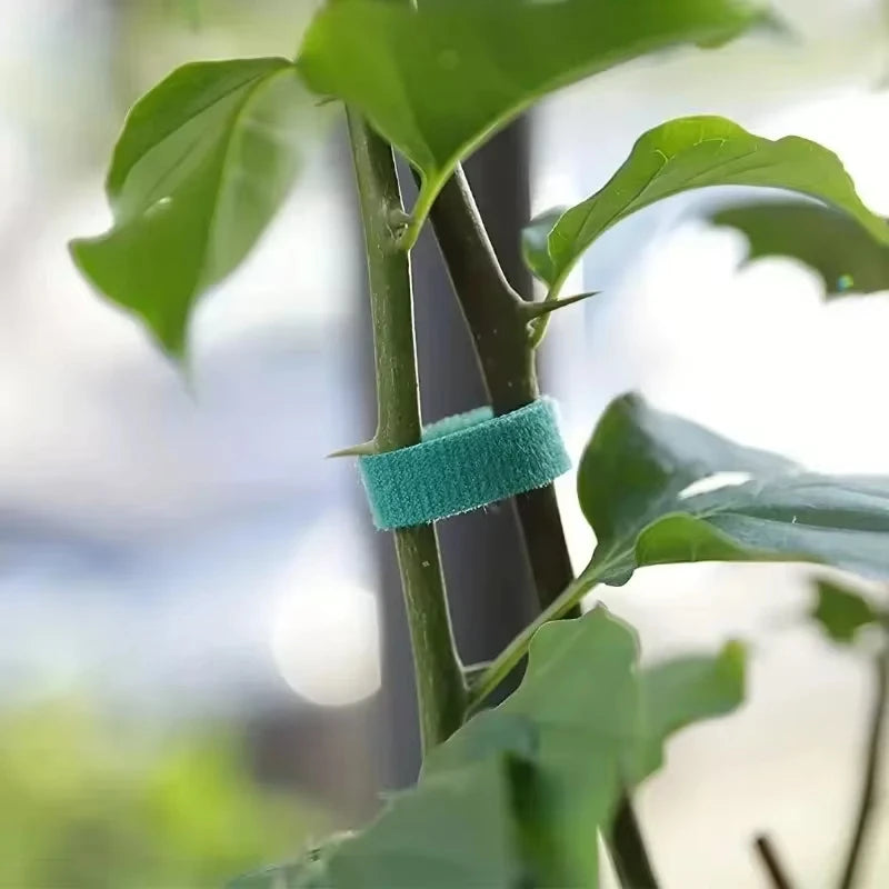 Reusable Nylon Plant Support Tape – Adjustable Hook & Loop Tie