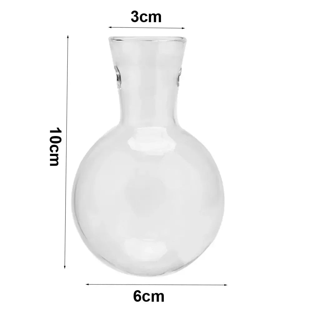 Glass Avocado Seed Starter Vase – Transparent Germination Kit