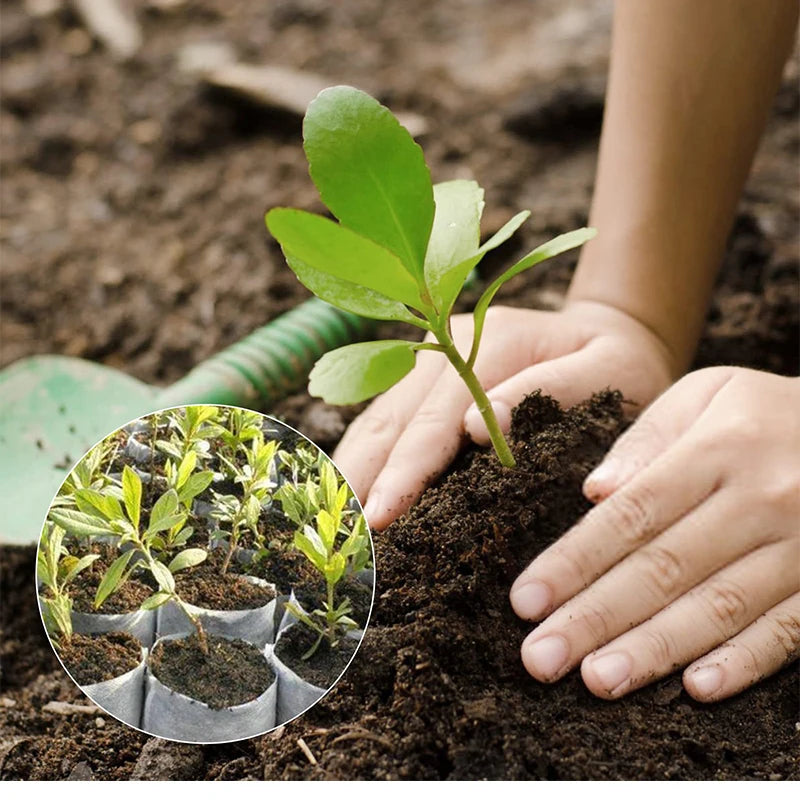 Biodegradable Fabric Seedling Grow Bags for Easy Transplanting