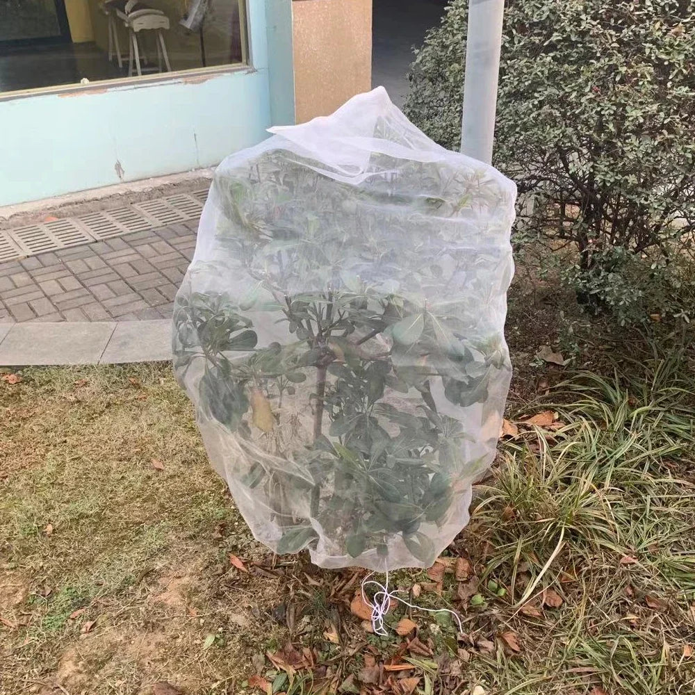 Reusable Plant Protection Net Bags – Anti-Bird & Pest Cover for Trees