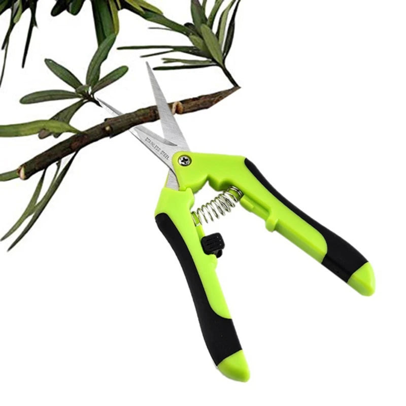 Stainless Steel Pruning Scissors – Fruit & Leaf Trimmer (16.5cm)