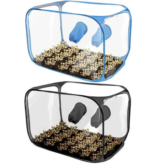 Mushroom Growing Tent – Still Air Box for Home Cultivation, Propagation & Horticulture