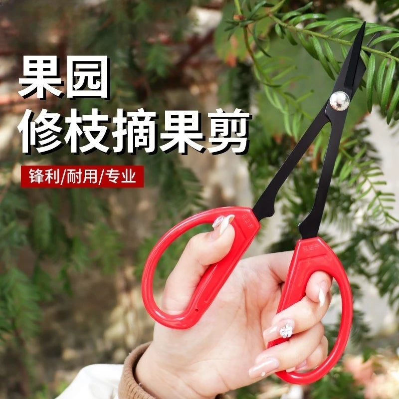 Stainless Steel Grape Pruning Scissors – Long Tip Garden Shears