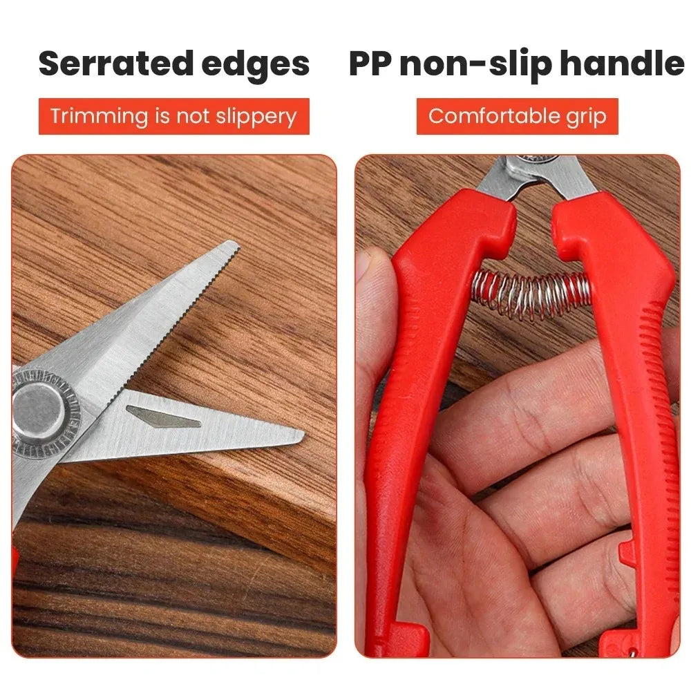 Stainless Steel Garden Pruning Shears – Fruit & Herb Trimming Scissors