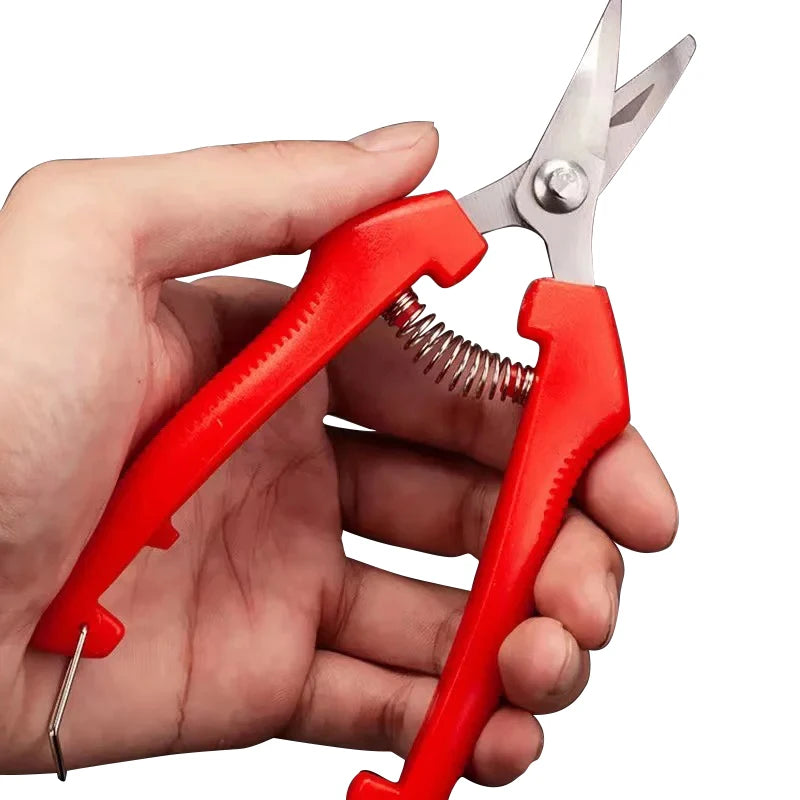 Stainless Steel Garden Pruning Shears – Fruit & Herb Trimming Scissors