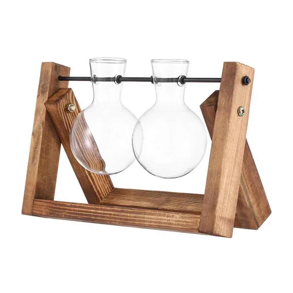 Glass Avocado Seed Starter Vase – Transparent Germination Kit