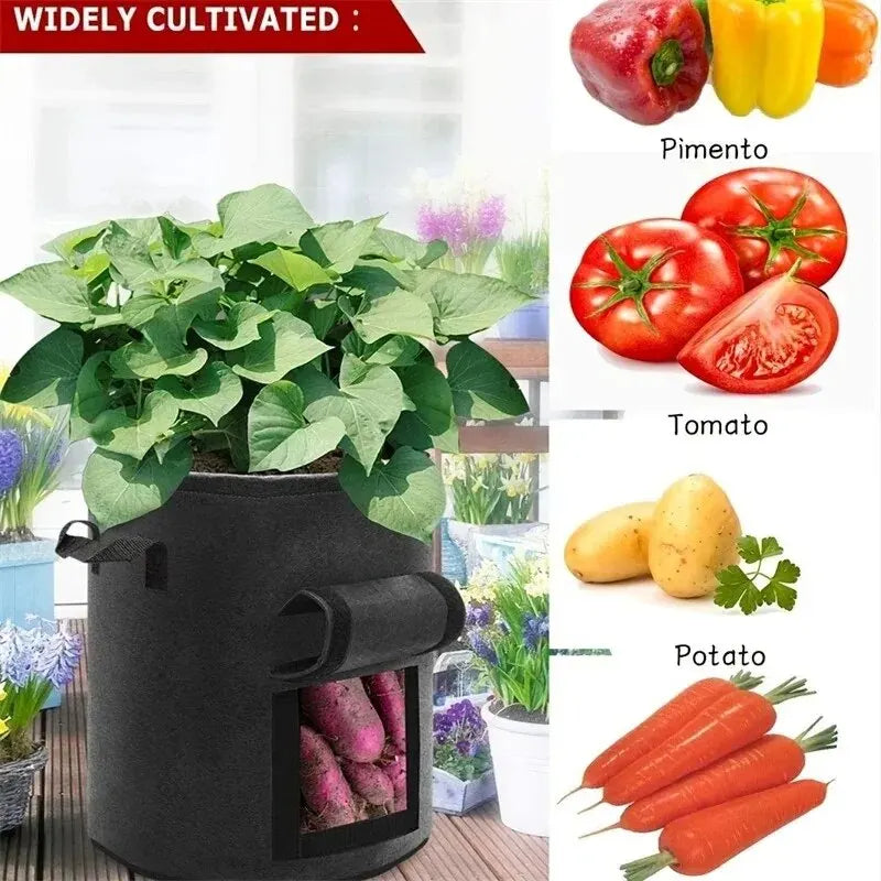 Vegetable Grow Bags – Nonwoven Fabric Pot with Harvest Window & Handles