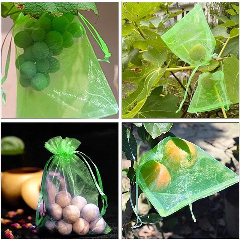 1–100pcs Green Fruit Protection Mesh Bags – Anti-Bird & Pest Netting