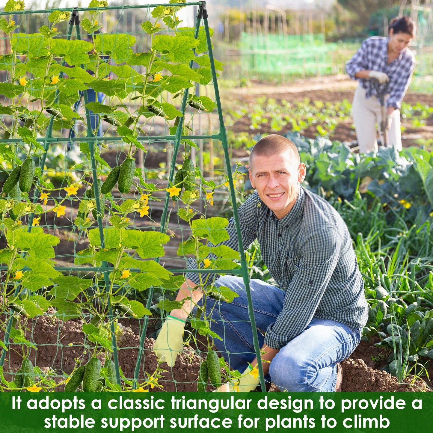 A-Frame Cucumber Trellis – Adjustable Vegetable Climbing Support