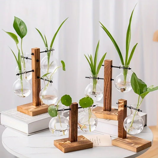 Vintage Hydroponic Glass Vase – Desktop Plant Propagation Terrarium