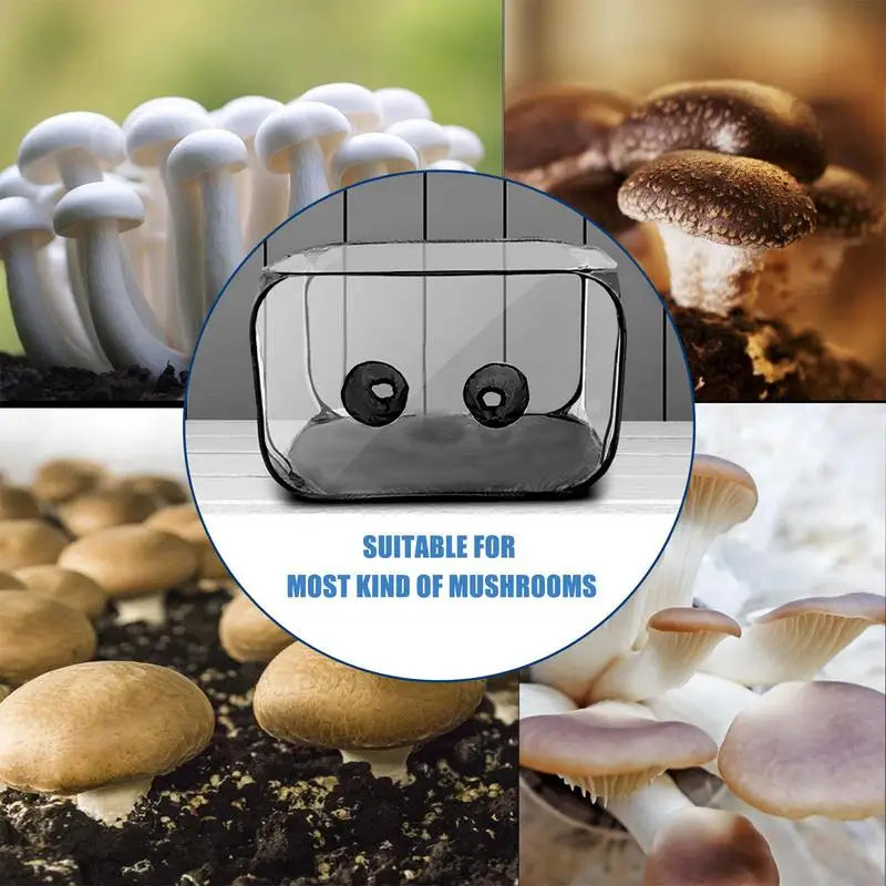 Mushroom Growing Tent with Still Air Box — PVC Propagation Station for Home Cultivation & Observation
