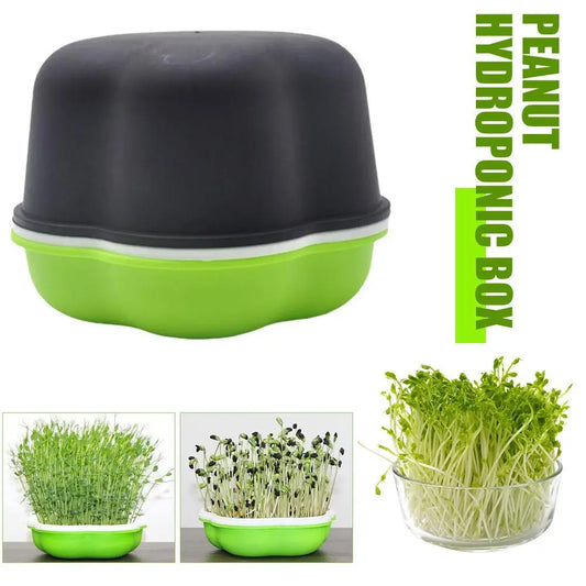 Hydroponic Sprout Box – Soilless Seedling Tray for Beans & Cat Grass