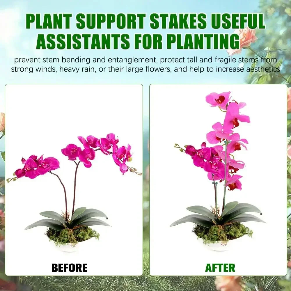 5/10PCS Plant Support Stakes – Orchid & Flower Fixing Rods (17–58cm)