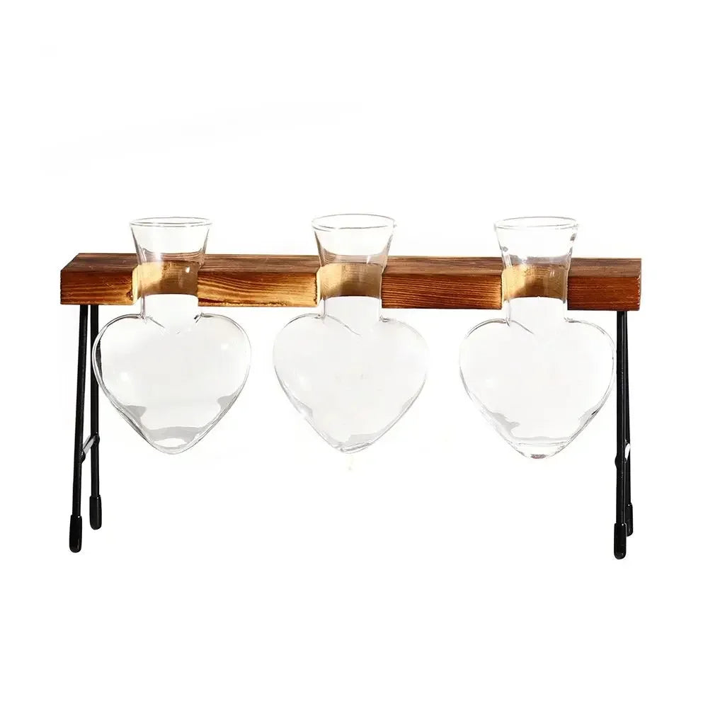 Glass Avocado Seed Starter Vase – Transparent Germination Kit