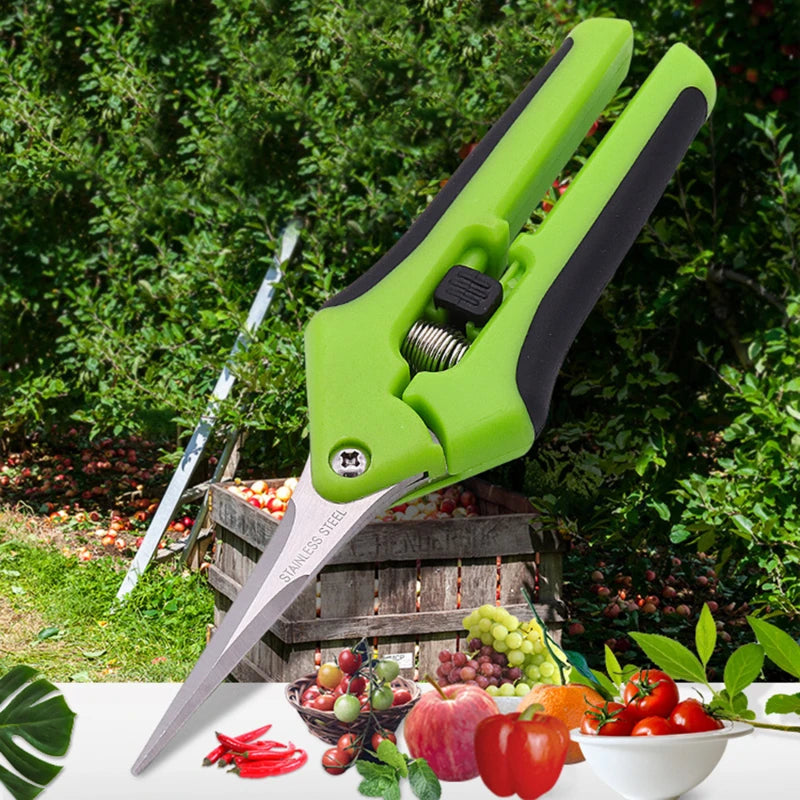 Stainless Steel Pruning Scissors – Fruit & Leaf Trimmer (16.5cm)