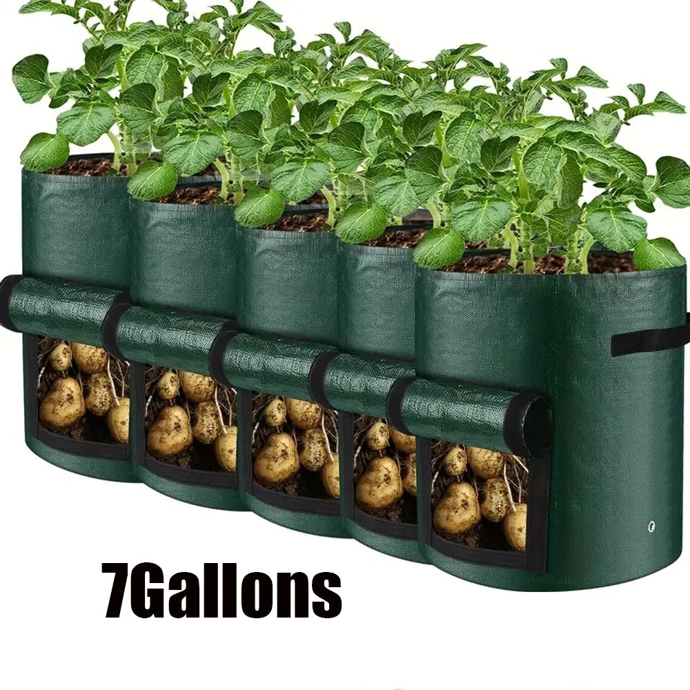 5-Pack Heavy-Duty Vegetable Grow Bags – Breathable PE Planters