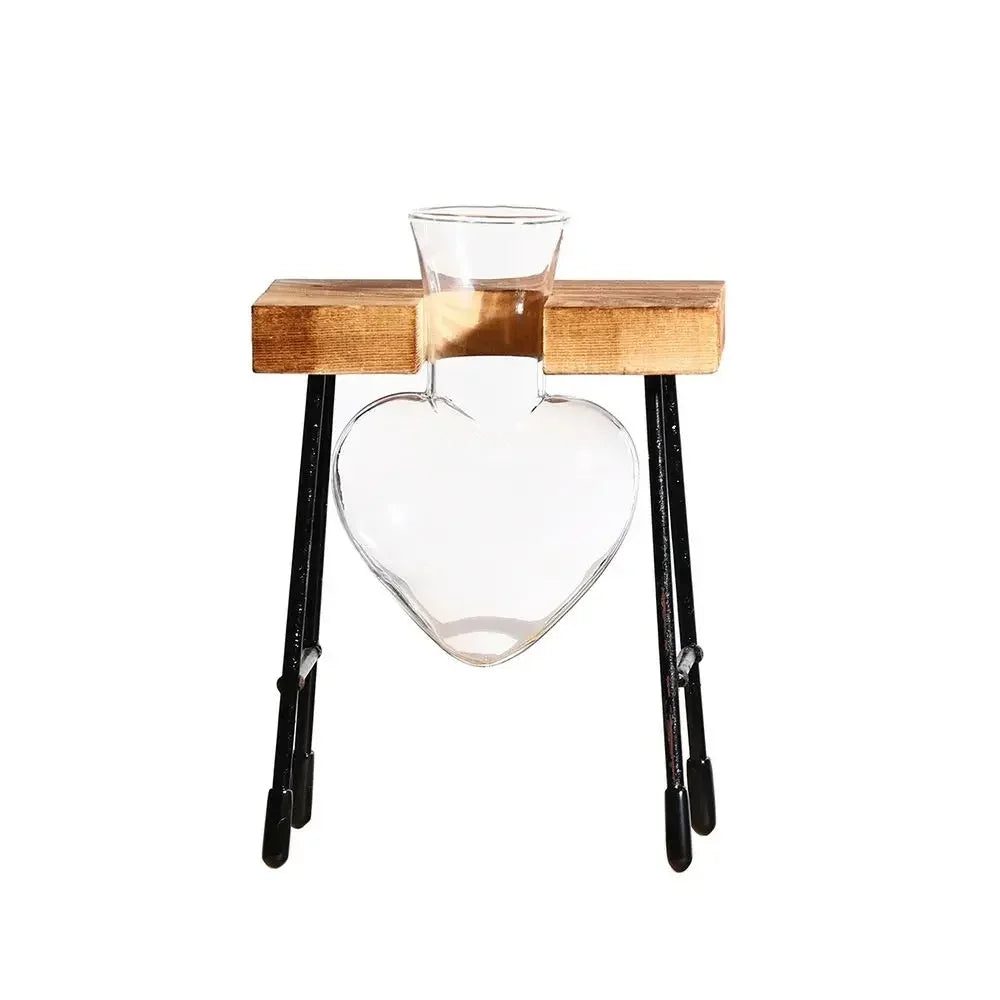 Glass Avocado Seed Starter Vase – Transparent Germination Kit