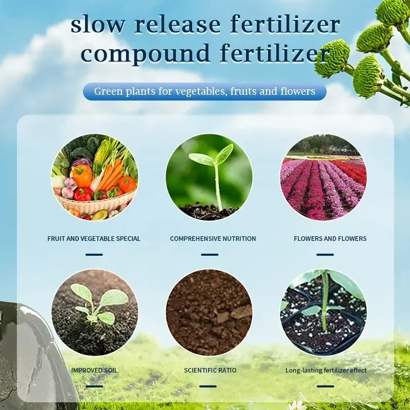 100g Organic Slow-Release Fertilizer Tablets for All Plants