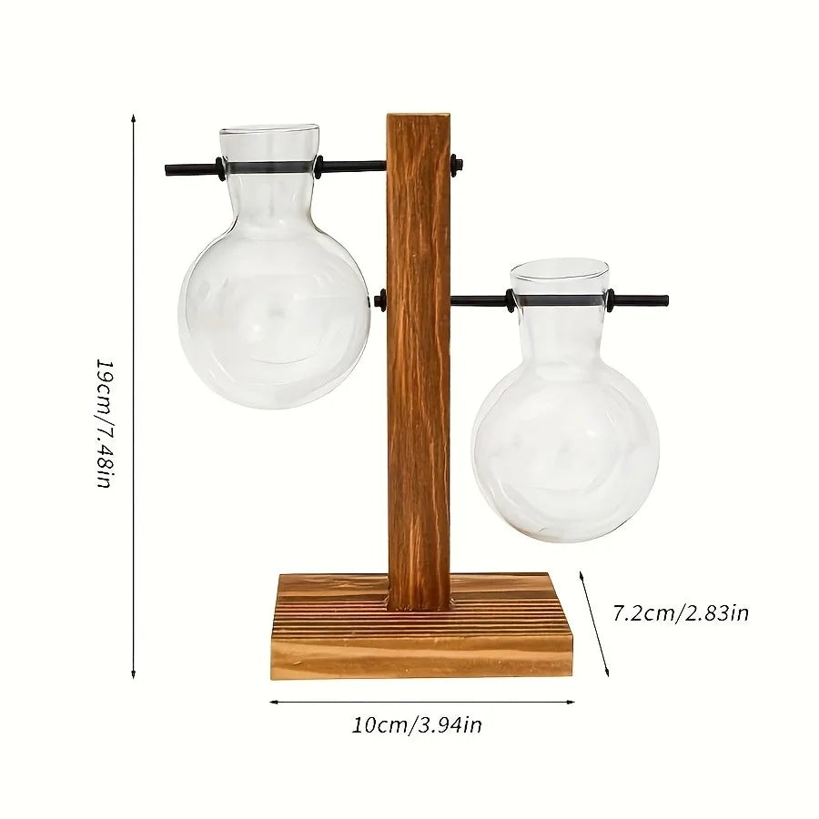 Vintage Hydroponic Glass Vase – Desktop Plant Propagation Terrarium