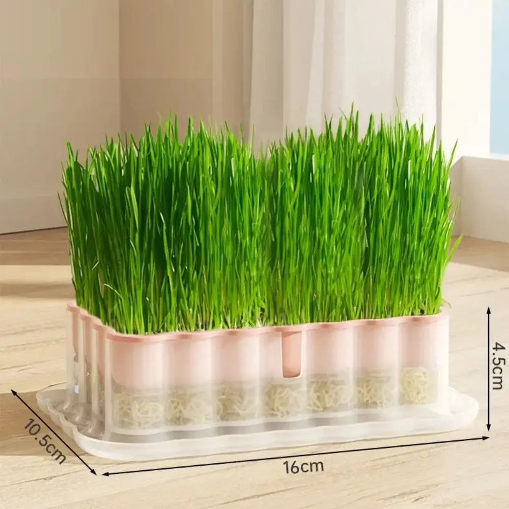 Hydroponic Sprout Growing Tray – Soilless Cultivation Seed Starter
