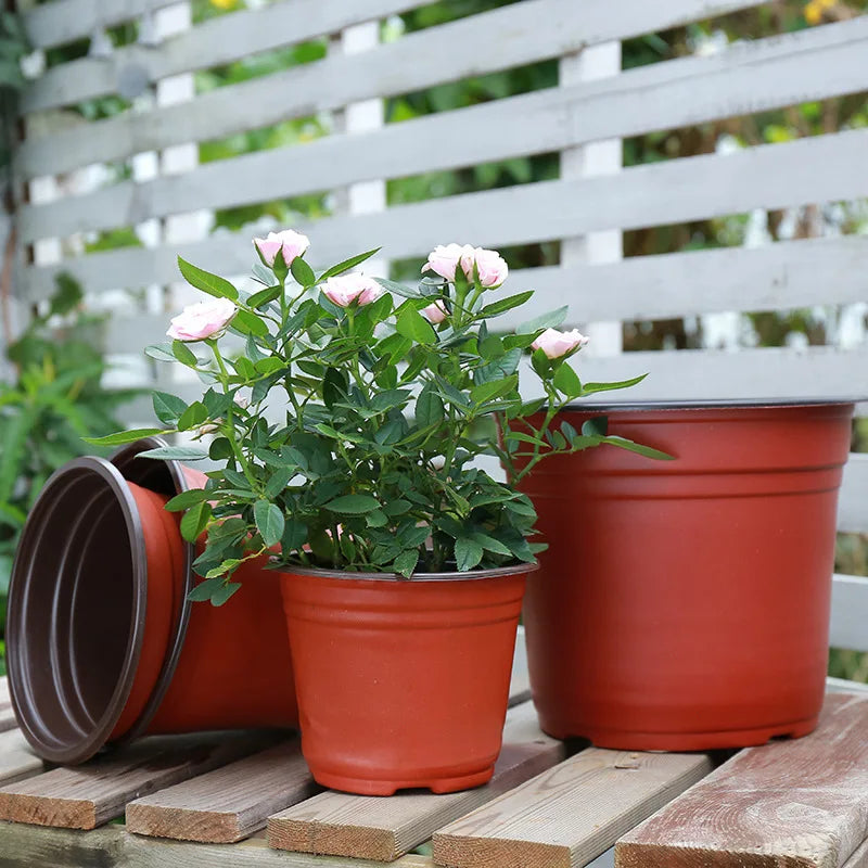 50/100pcs Plastic Nursery Pots – 9–14cm Grow Containers for Seedlings