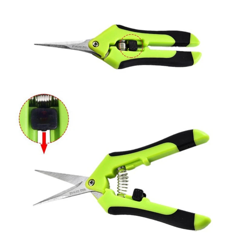 Stainless Steel Pruning Scissors – Fruit & Leaf Trimmer (16.5cm)