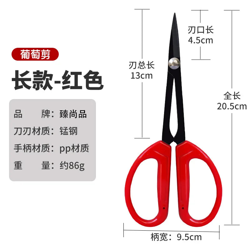Stainless Steel Grape Pruning Scissors – Long Tip Garden Shears