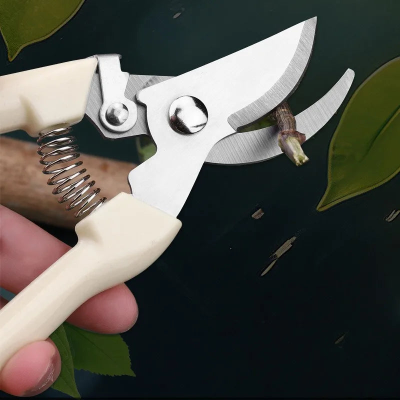 Stainless Steel Garden Shears Set for Pruning & Fruit Picking