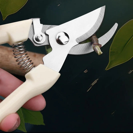 Stainless Steel Garden Shears Set for Pruning & Fruit Picking