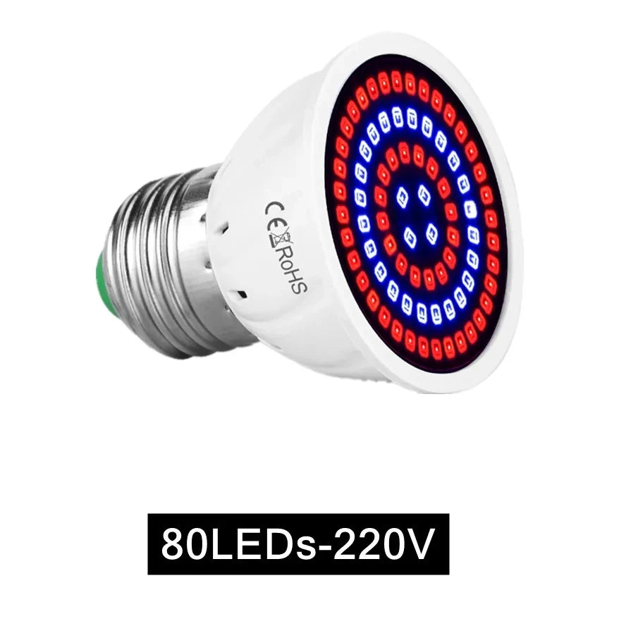 E27 LED Full Spectrum Grow Light Bulb for Seedlings & Succulents