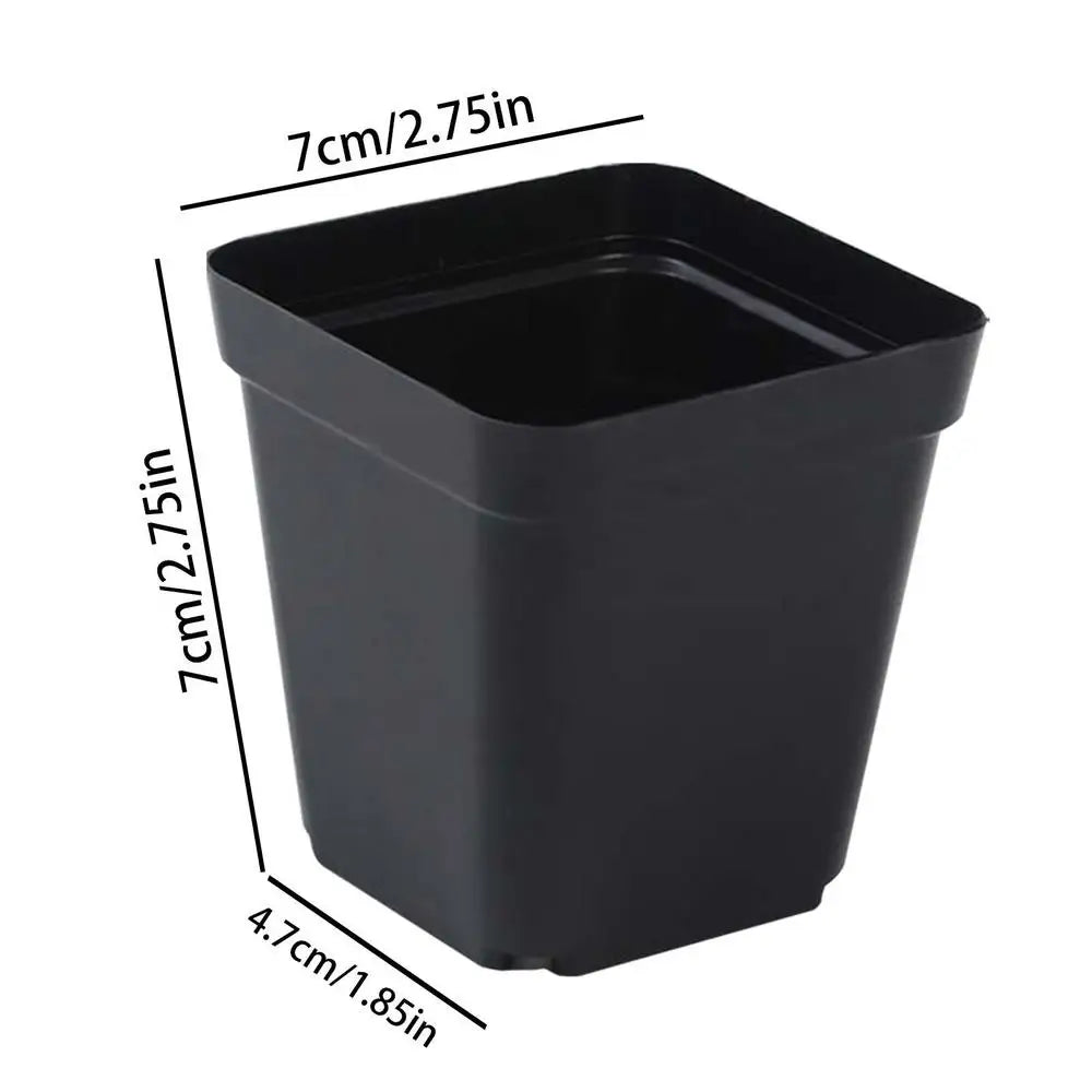 50PCS Square Seedling Pots – Durable Plastic Nursery Plant Cups