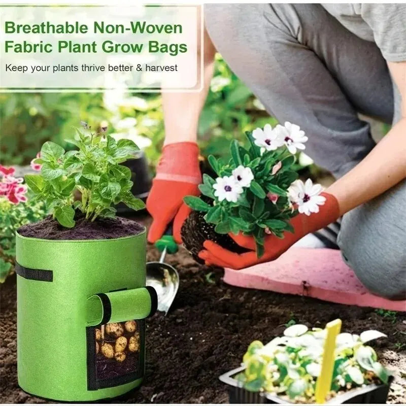 Vegetable Grow Bags – Nonwoven Fabric Pot with Harvest Window & Handles