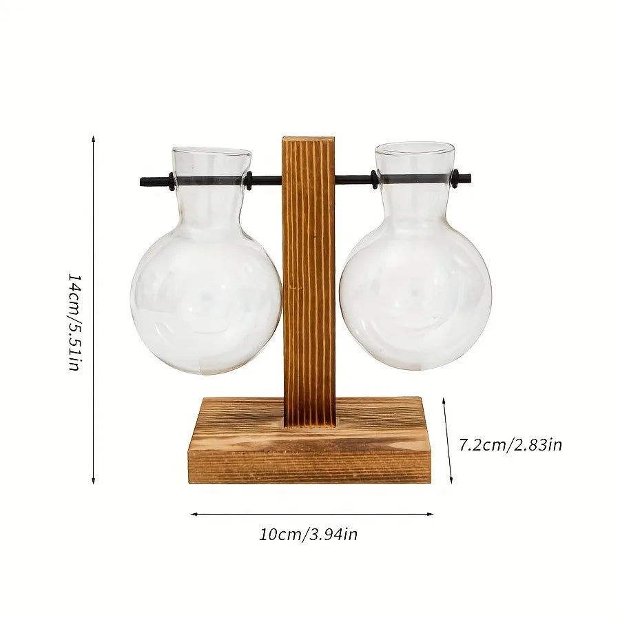 Vintage Hydroponic Glass Vase – Desktop Plant Propagation Terrarium