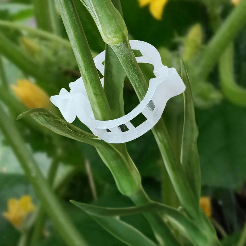 Reusable Plant Support Clips – Plastic Vine & Grafting Fixing Tools for Tomatoes & Vegetables (100-500PCS)