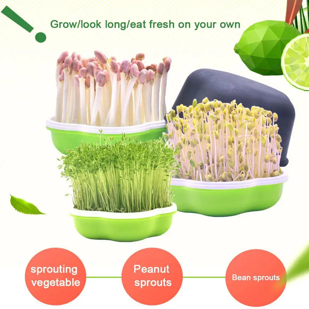 Hydroponic Sprout Box – Soilless Seedling Tray for Beans & Cat Grass