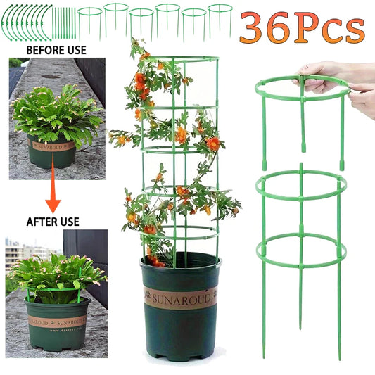 Plant Support Stakes – Semicircle Trellis for Potted Vines & Flowers