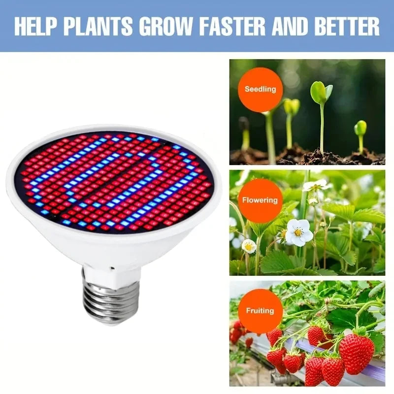 E27 LED Full Spectrum Grow Light Bulb for Seedlings & Succulents