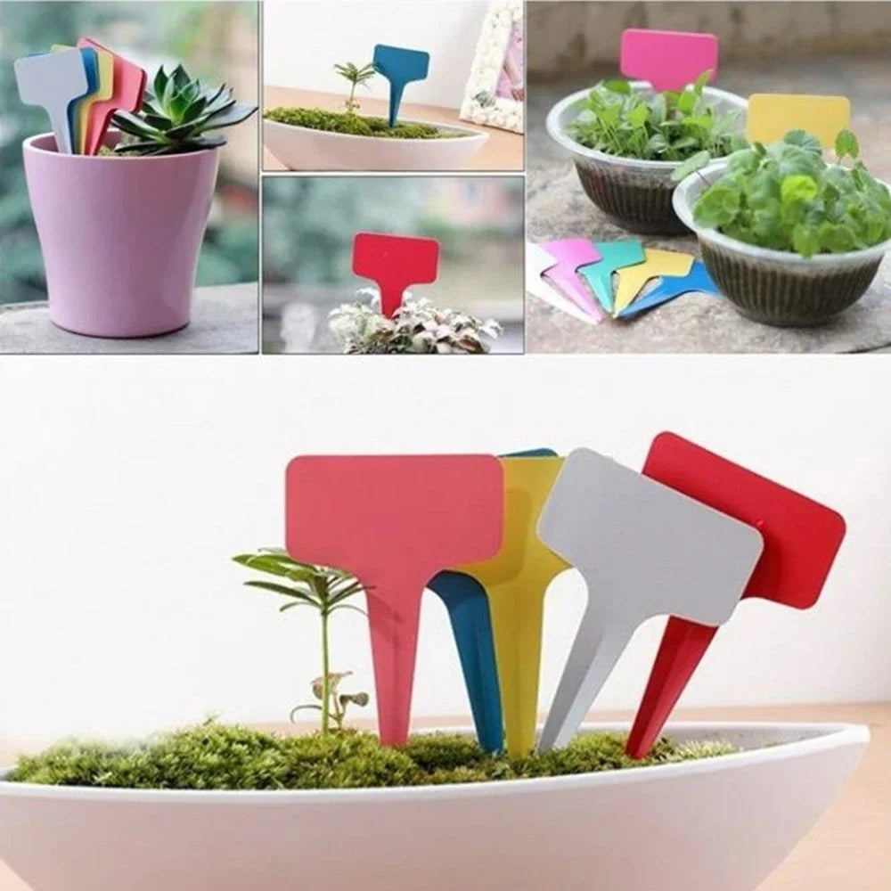 50/100pcs T-Shape Waterproof Plant Tags – PVC Garden Labels + Pen