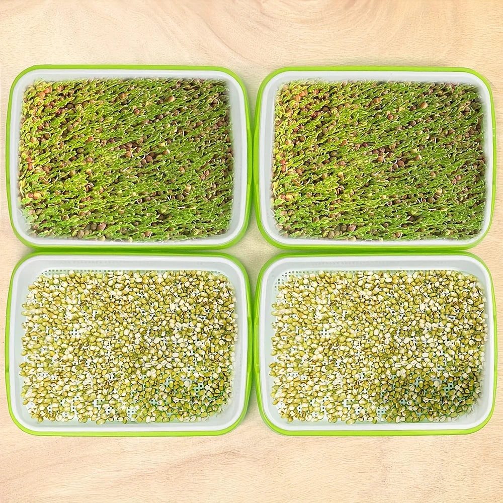 Hydroponic Sprouting Tray – 2-Layer Plastic Microgreens Grower
