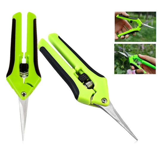Stainless Steel Pruning Scissors – Fruit & Leaf Trimmer (16.5cm)