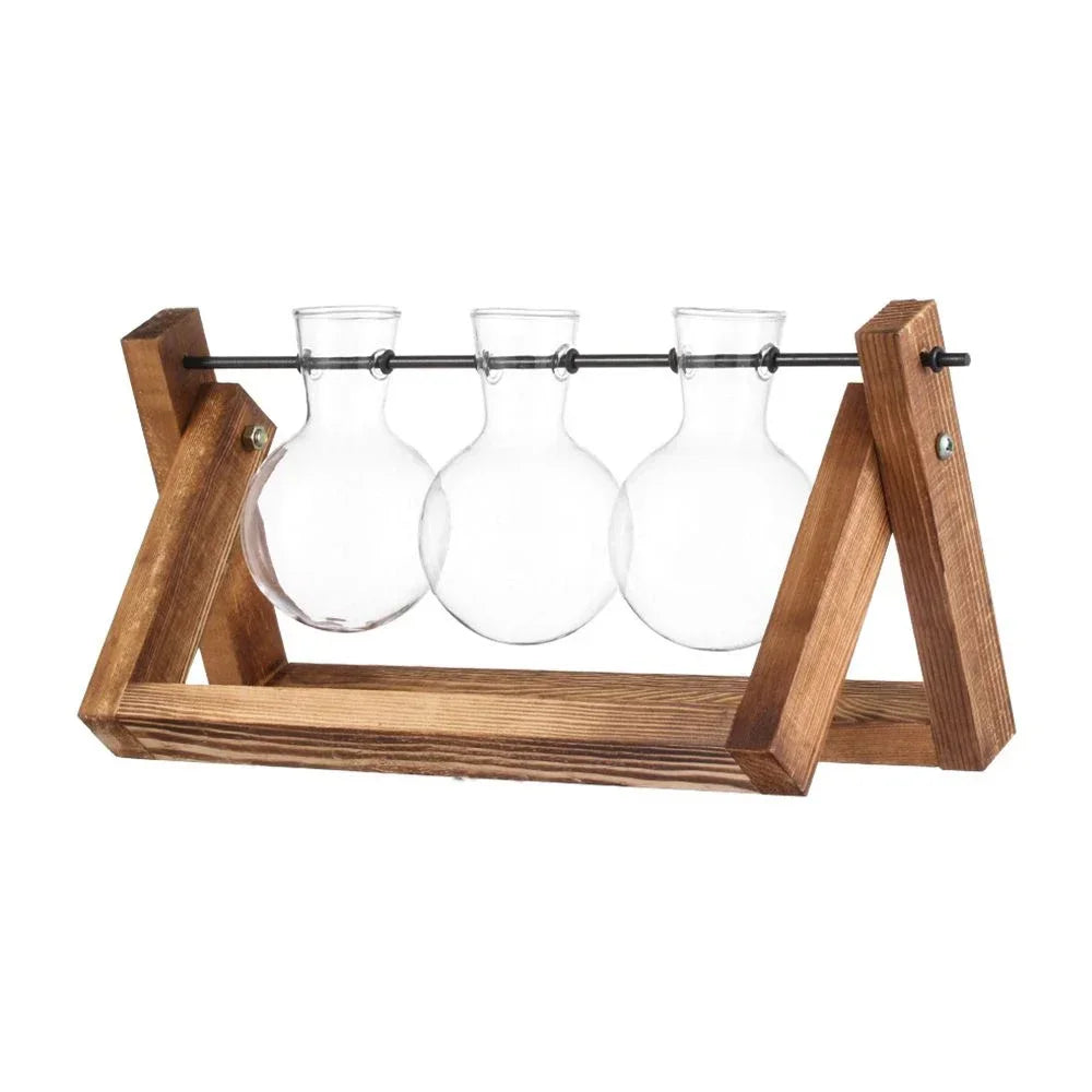 Glass Avocado Seed Starter Vase – Transparent Germination Kit