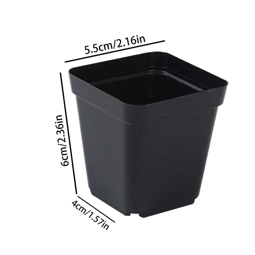 50PCS Square Seedling Pots – Durable Plastic Nursery Plant Cups
