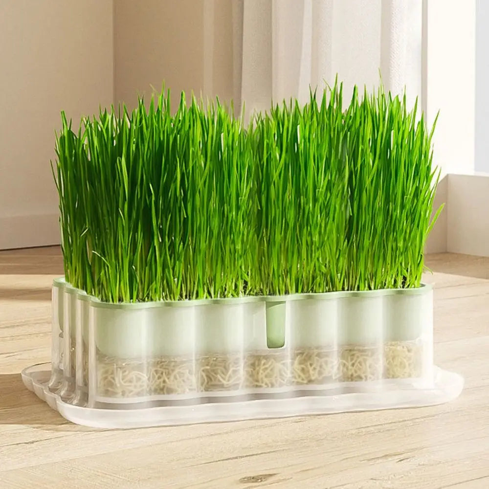 Hydroponic Sprout Growing Tray – Soilless Cultivation Seed Starter