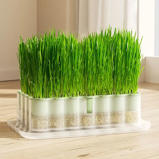 Hydroponic Sprout Growing Tray – Soilless Cultivation Seed Starter