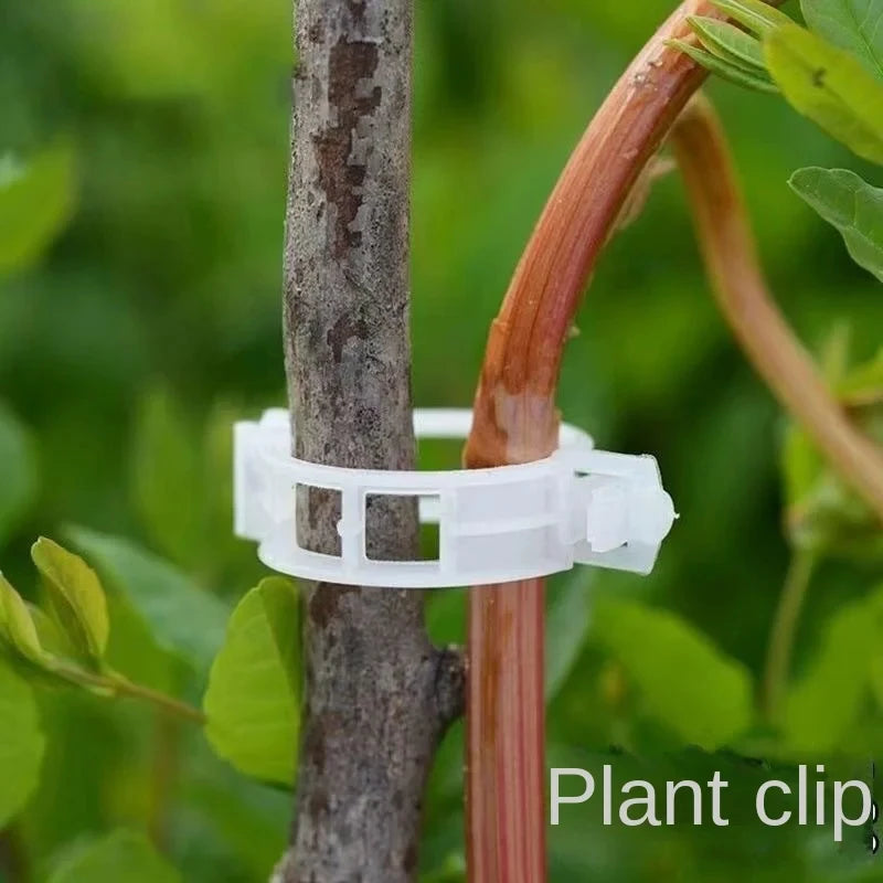 Reusable Plant Support Clips – Plastic Vine & Grafting Fixing Tools for Tomatoes & Vegetables (100-500PCS)