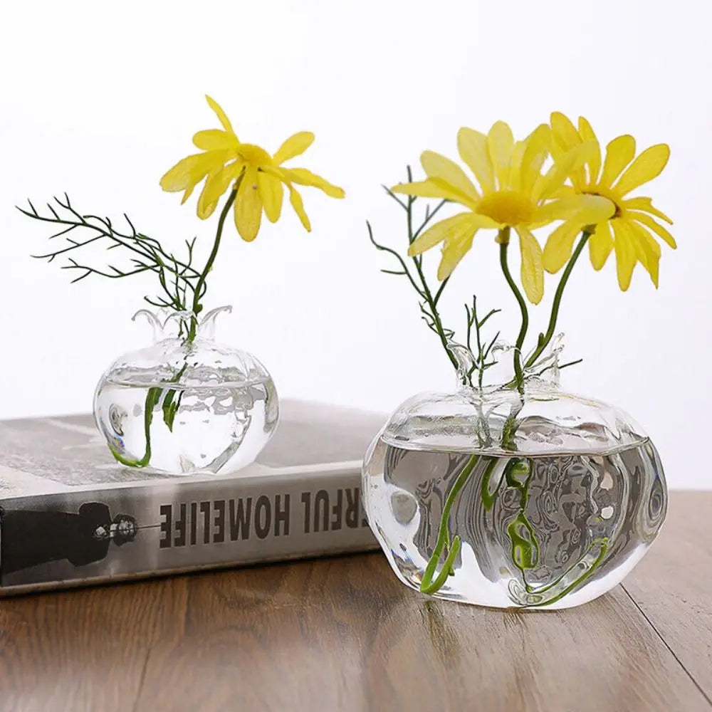 Glass Avocado Seed Starter Vase – Transparent Germination Kit